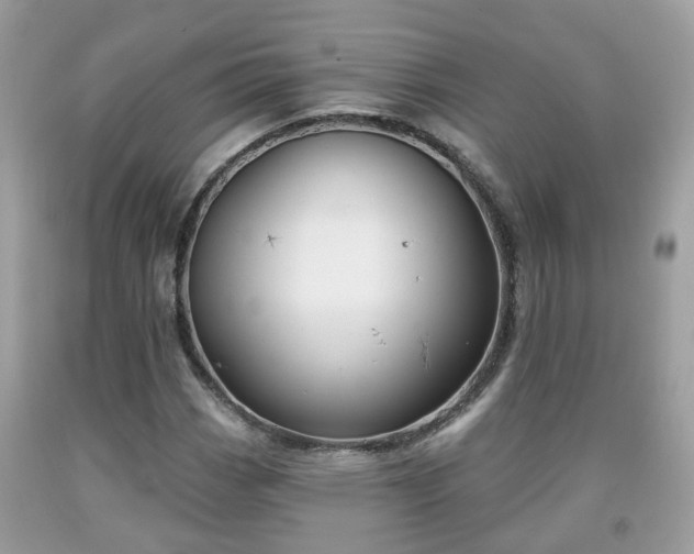 X0000091991113200709131448