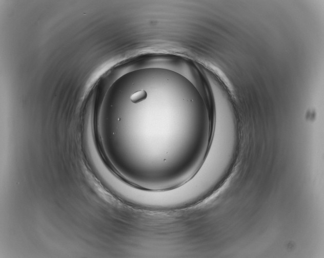 X0000091991114200709131448