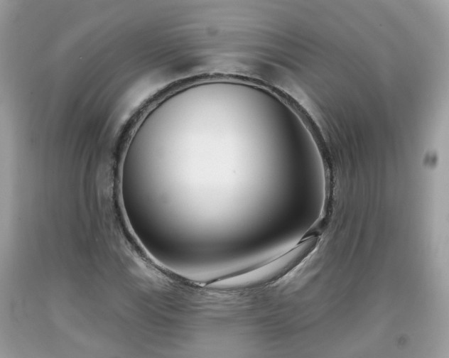 X0000091991115200709131448