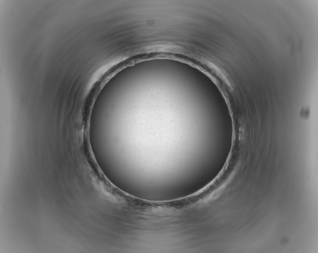 X0000091991117200709131448