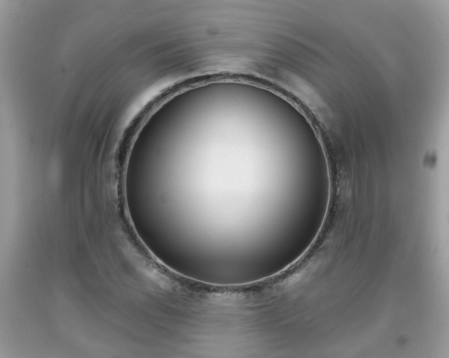 X0000091991118200709131448