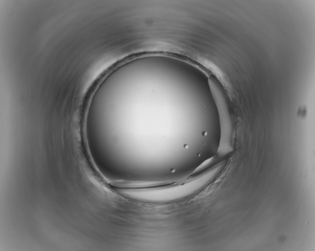 X0000091991120200709131448