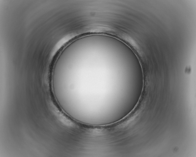 X0000091991122200709131448