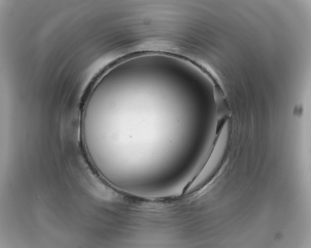 X0000091991123200709131448