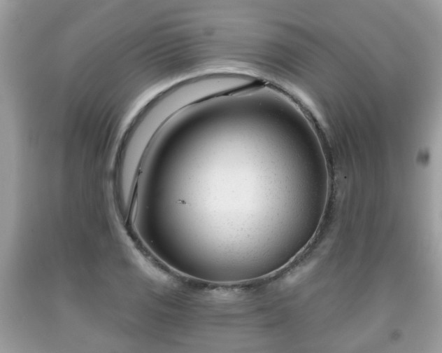 X0000091991125200709131448