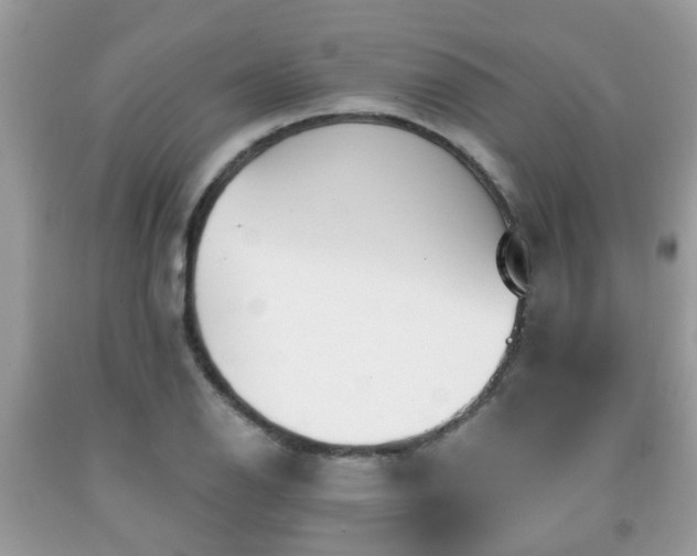 X0000091991126200709131448