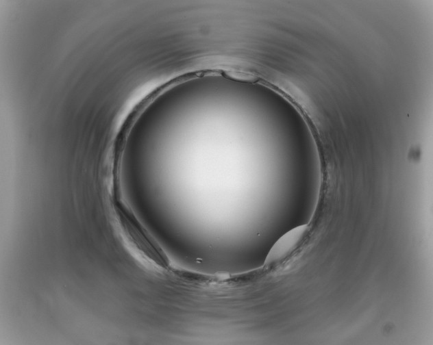 X0000091991128200709131448