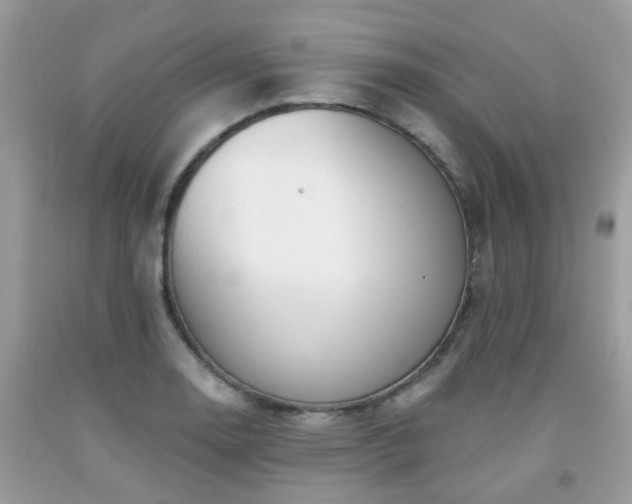 X0000091991130200709131448