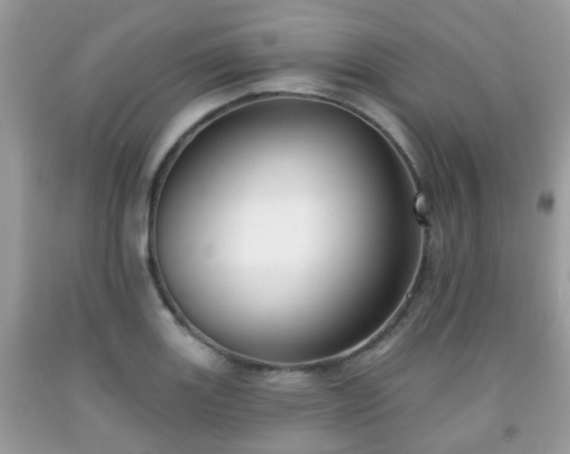 X0000091991131200709131448
