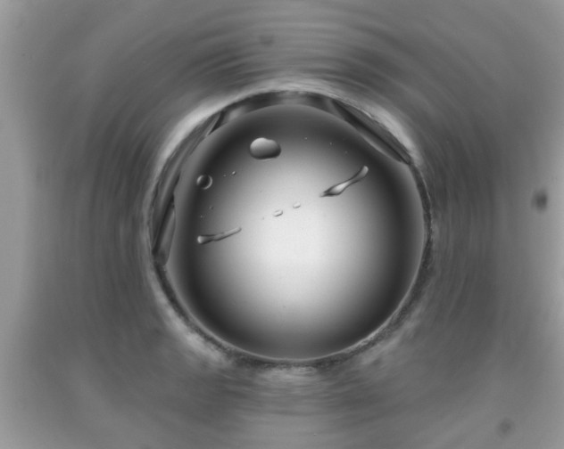 X0000091991133200709131448