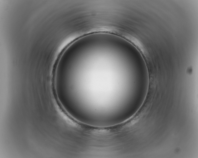 X0000091991135200709131448