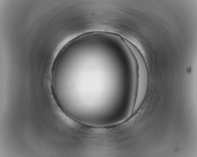 X0000091991136200709131448
