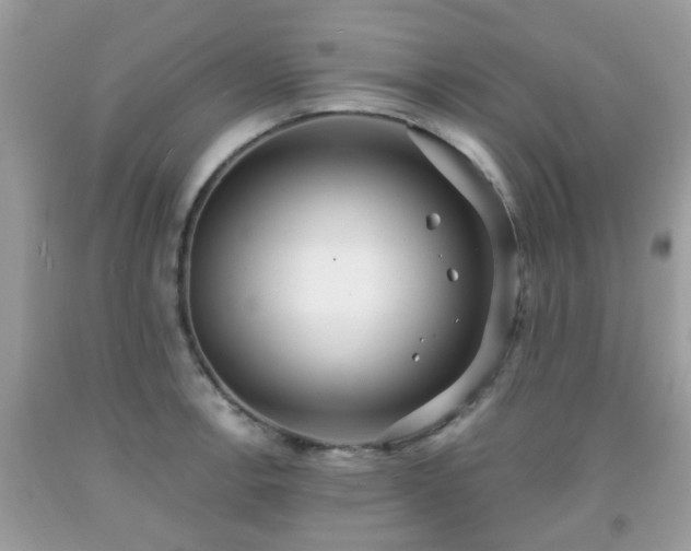 X0000091991138200709131448