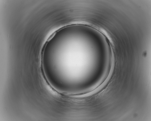 X0000091991140200709131448