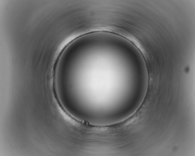 X0000091991143200709131448