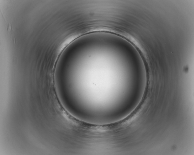 X0000091991145200709131448