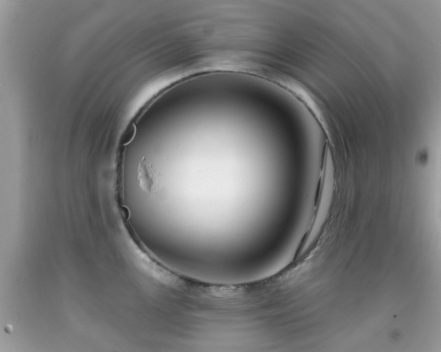 X0000091991147200709131448