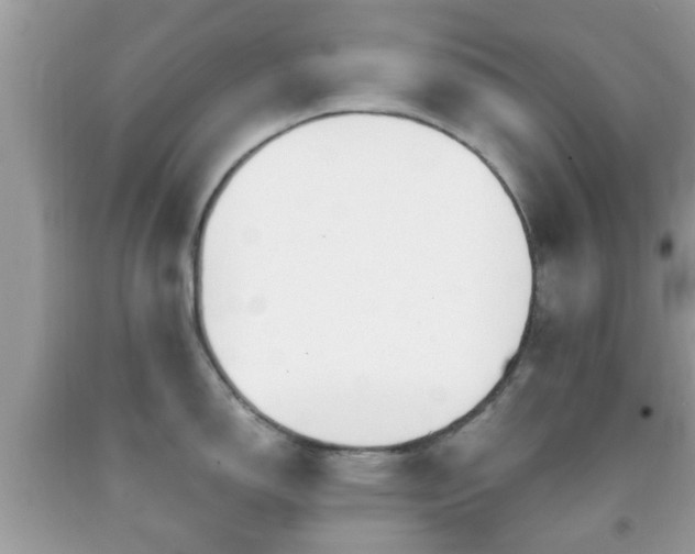 X0000091991150200709131449