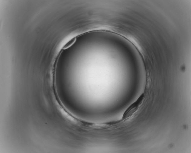 X0000091991151200709131449