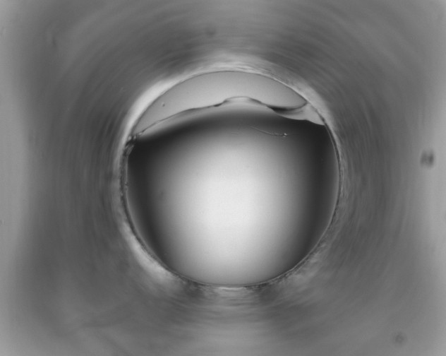 X0000091991152200709131449