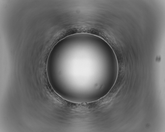 X0000091991153200709131448