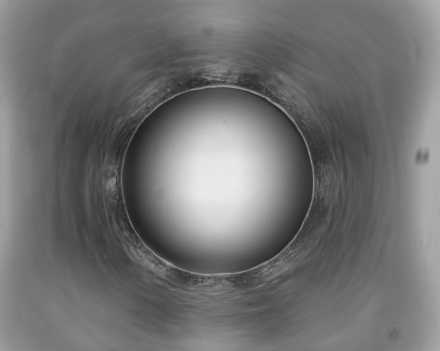 X0000091991154200709131448