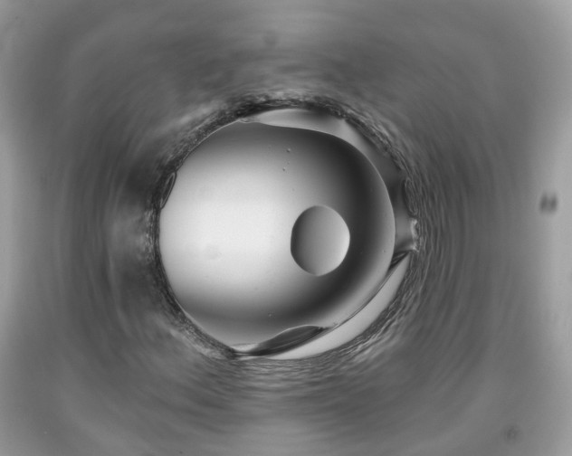 X0000091991156200709131448