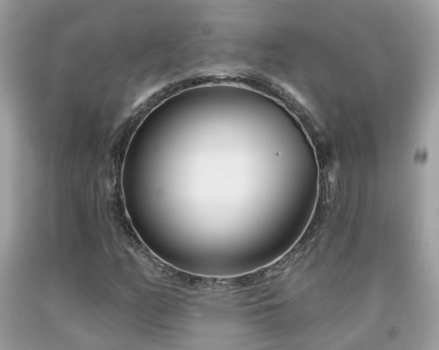 X0000091991158200709131448