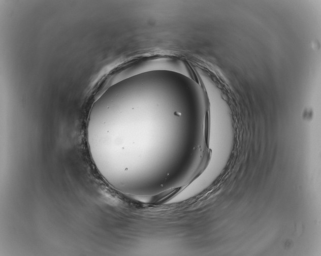 X0000091991160200709131448