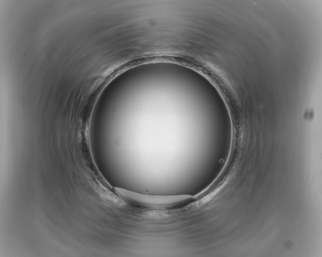 X0000091991161200709131448