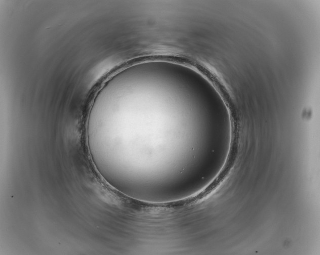 X0000091991163200709131448
