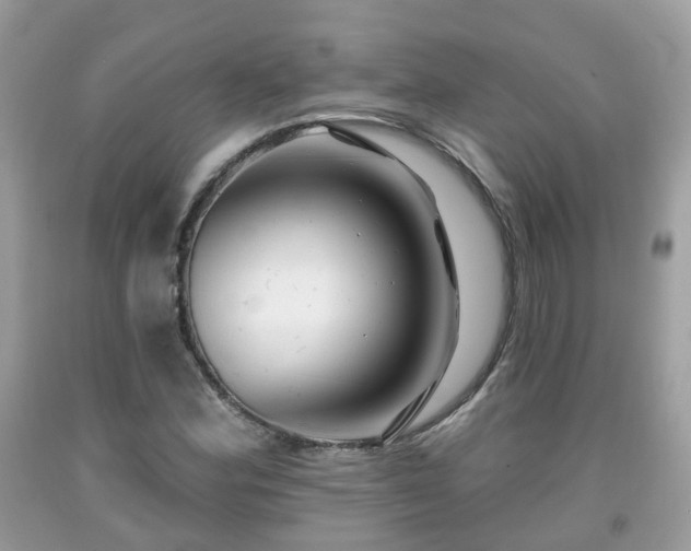 X0000091991164200709131448