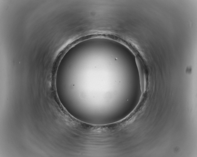 X0000091991165200709131448