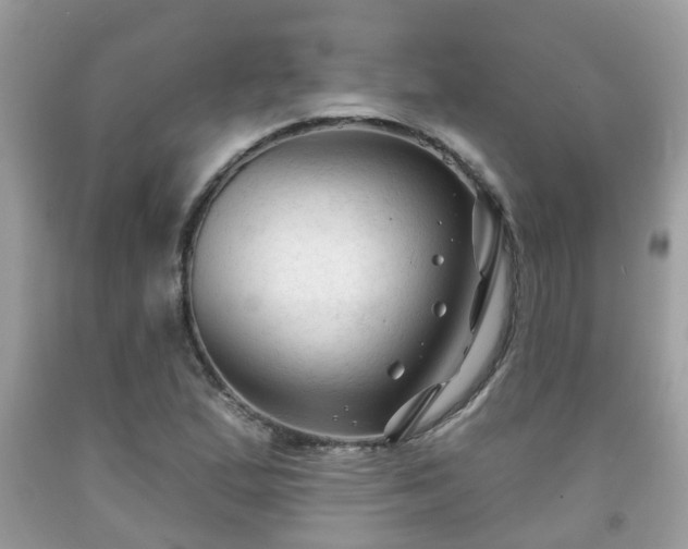 X0000091991167200709131448
