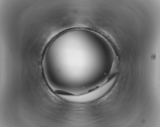 X0000091991168200709131448