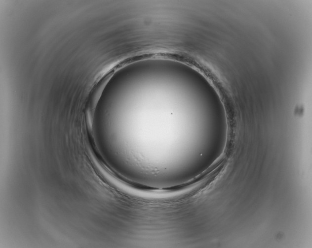 X0000091991169200709131448