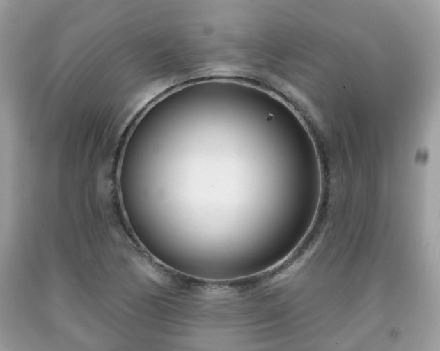 X0000091991170200709131448
