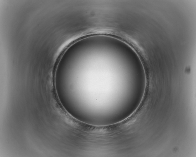 X0000091991174200709131448