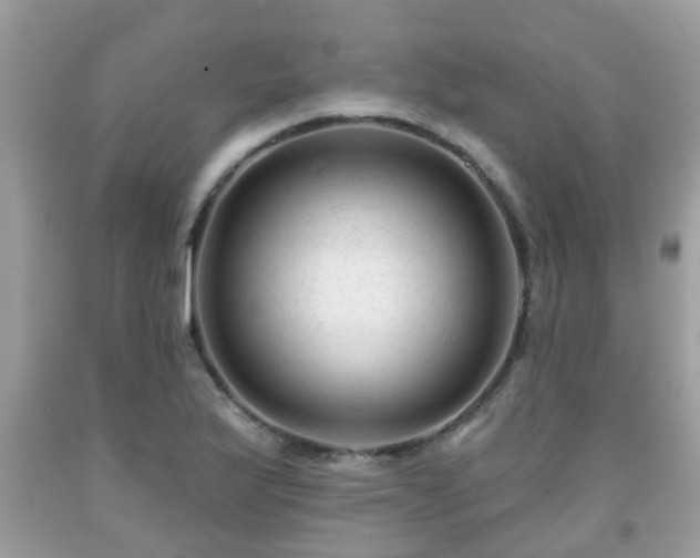 X0000091991175200709131448