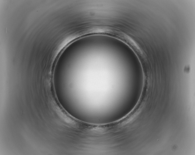 X0000091991178200709131448