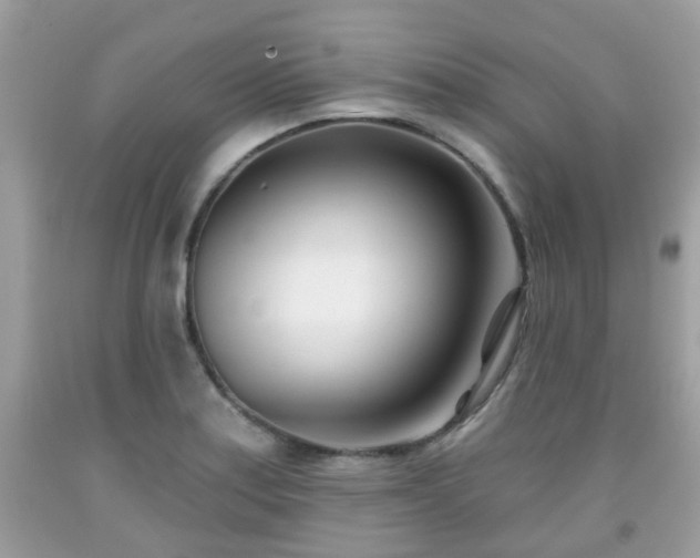 X0000091991179200709131448