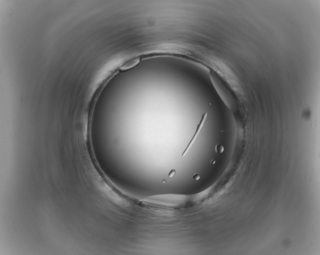 X0000091991180200709131448