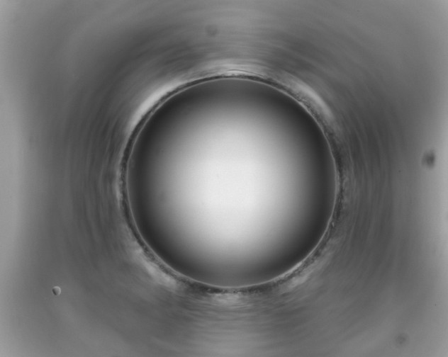X0000091991182200709131448