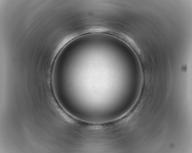 X0000091991186200709131448