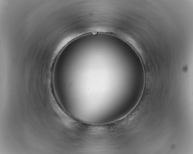X0000091991187200709131448