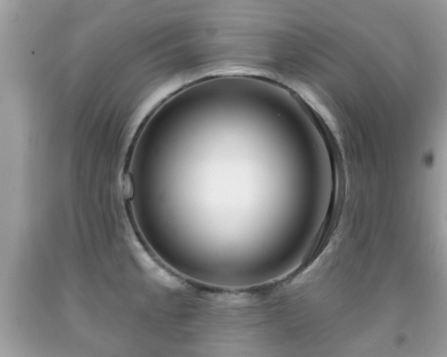 X0000091991189200709131447