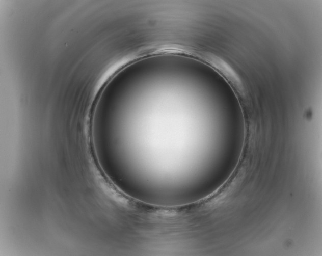 X0000091991190200709131447