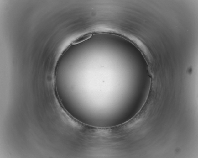 X0000091991191200709131447