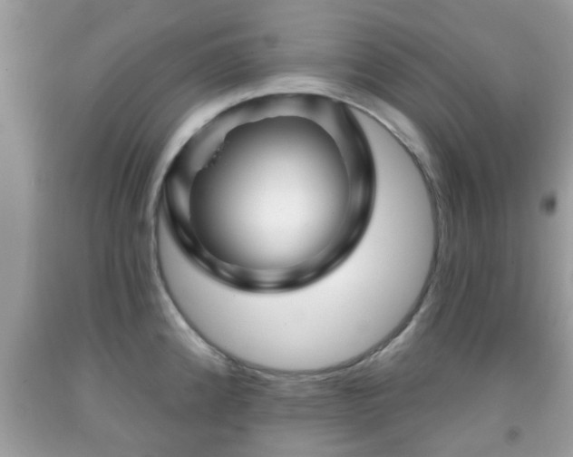 X0000091991192200709131447