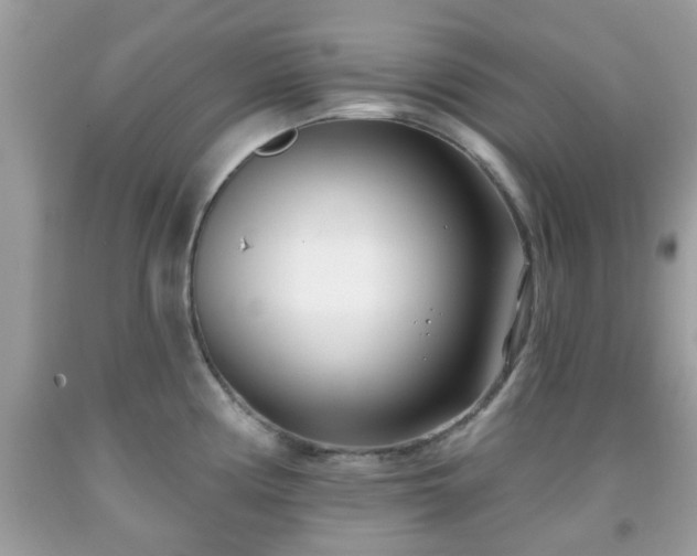 X0000091991194200709131447